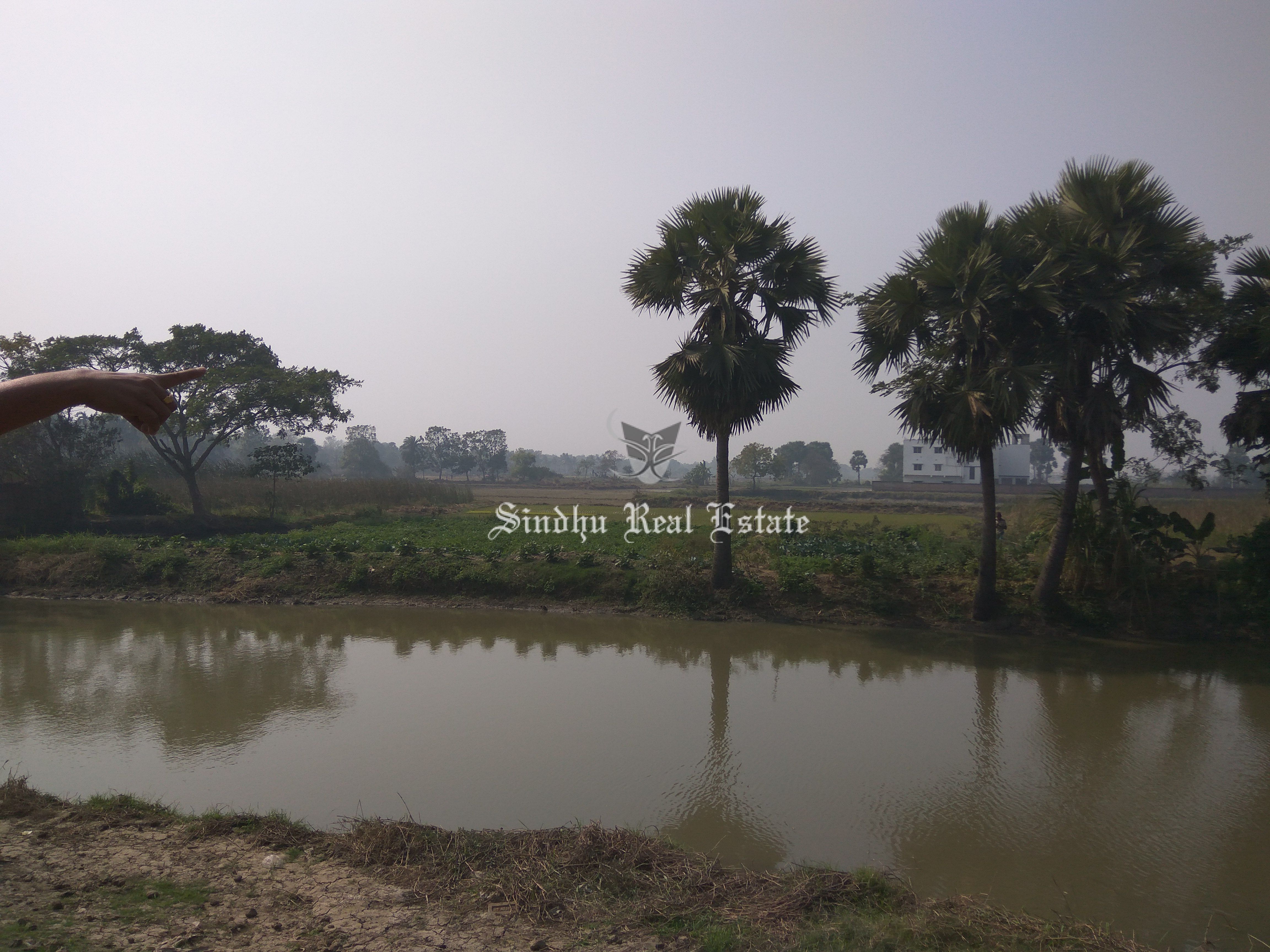 Commercial Land for Salein Baruipur