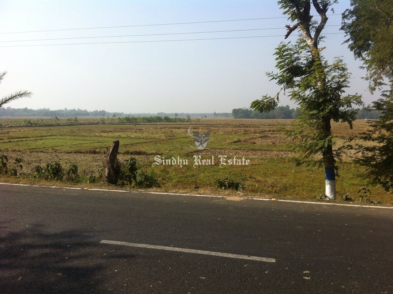 Commercial Land is Available For Sale at Bardhaman