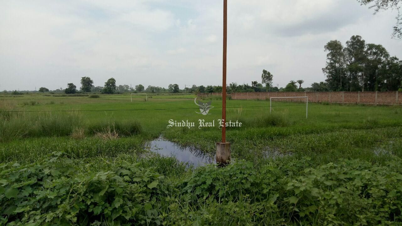 Industrial Land For Sale In Amta Road