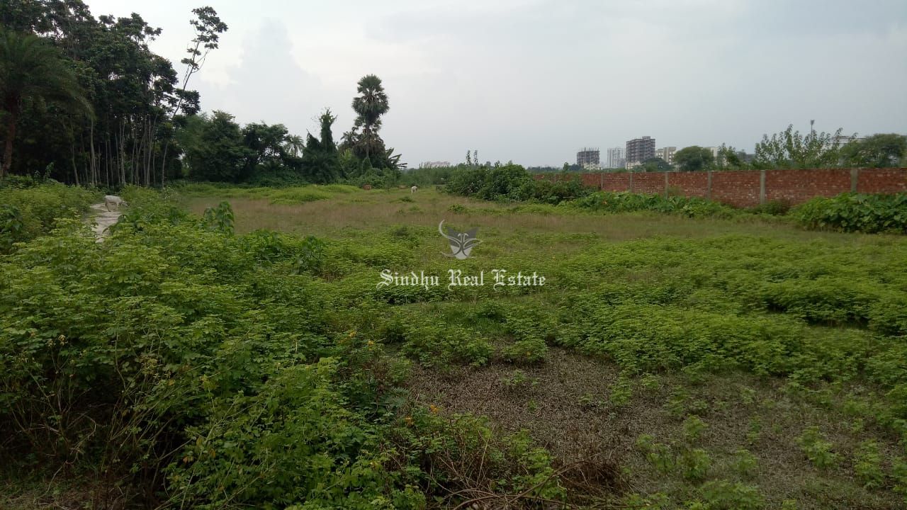 Land for sale in Rajarhat, New town