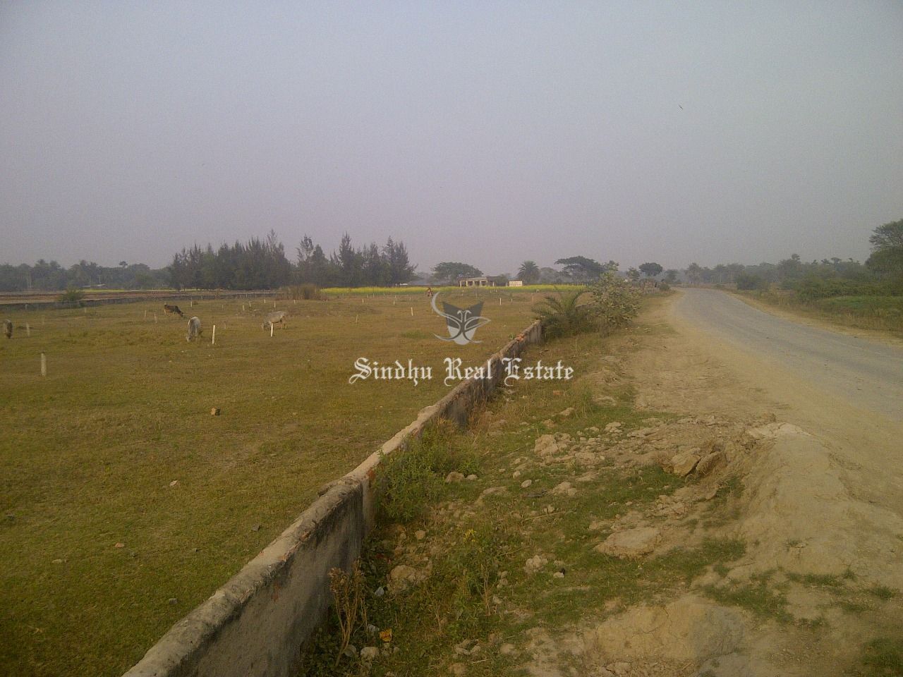 Land for sale in Dankuni