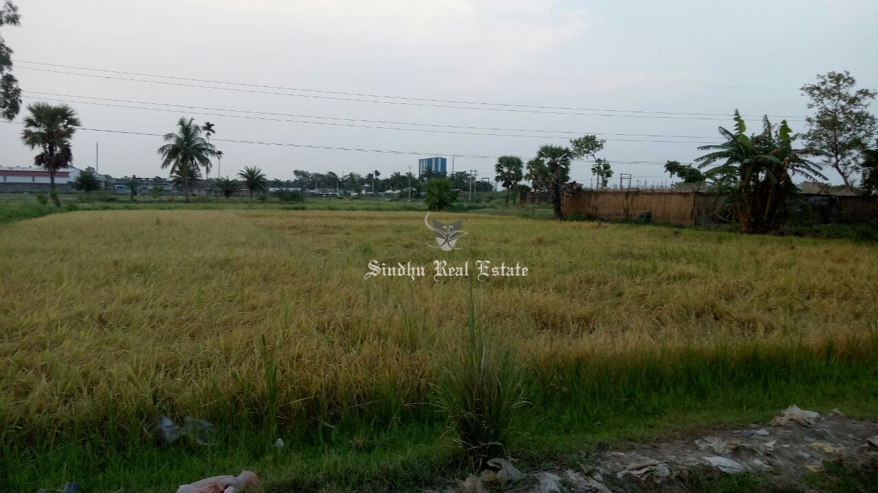 Industrial land available for sale in Dankuni