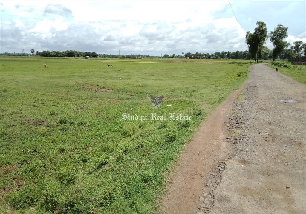 Land is available for sale in Dankuni