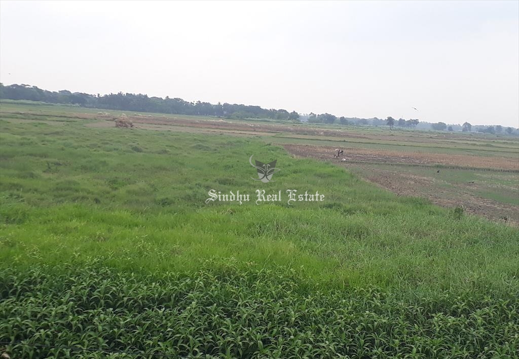 60 Katha land is available for sale in Dankuni