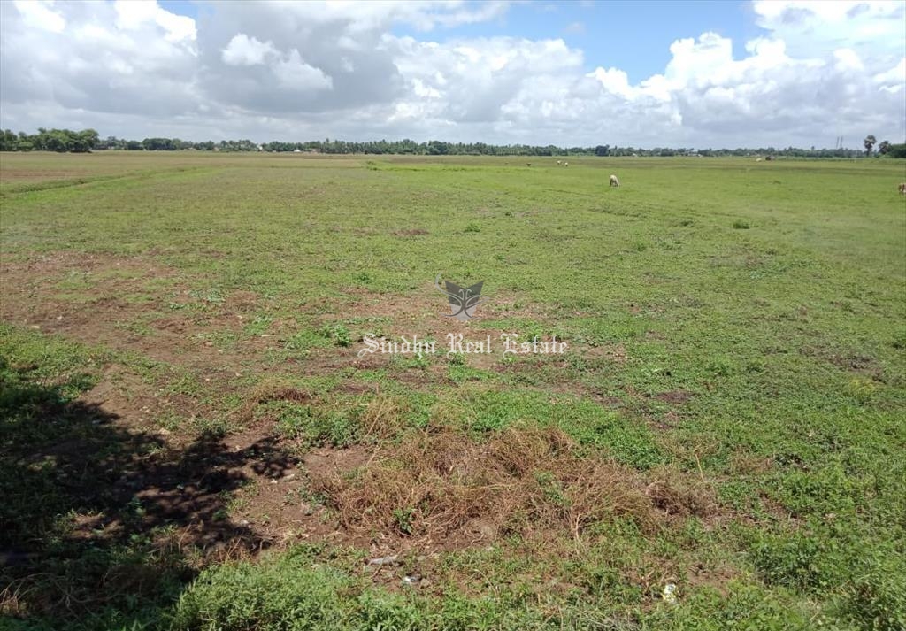 10 Bigha land for sale in Dhulagarh