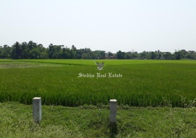 30 Bigha land available for sale in Dhulagarh