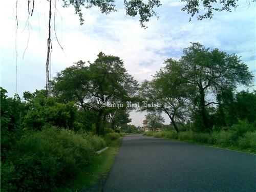 300 Katha/15 Bigha land for sale in Kalyani Expressway