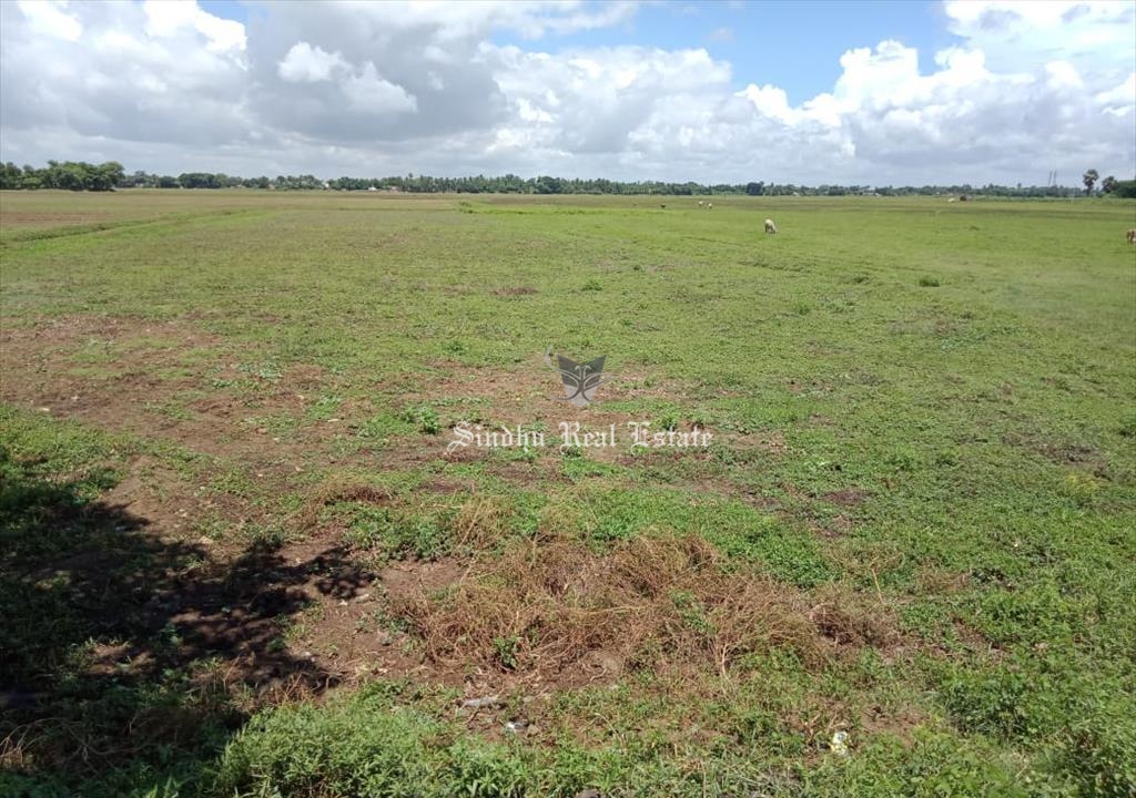 20 bigha land available for sale in Kharagpur