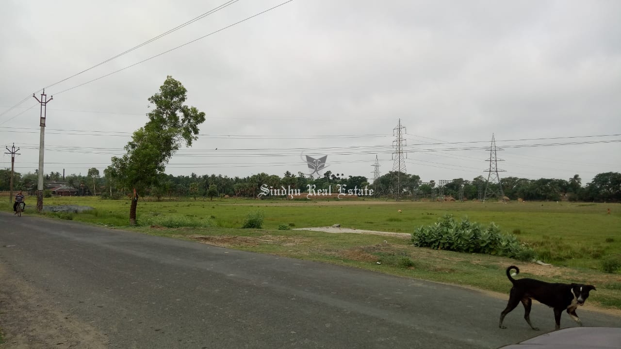 60 Katha land available for sale in Dankuni