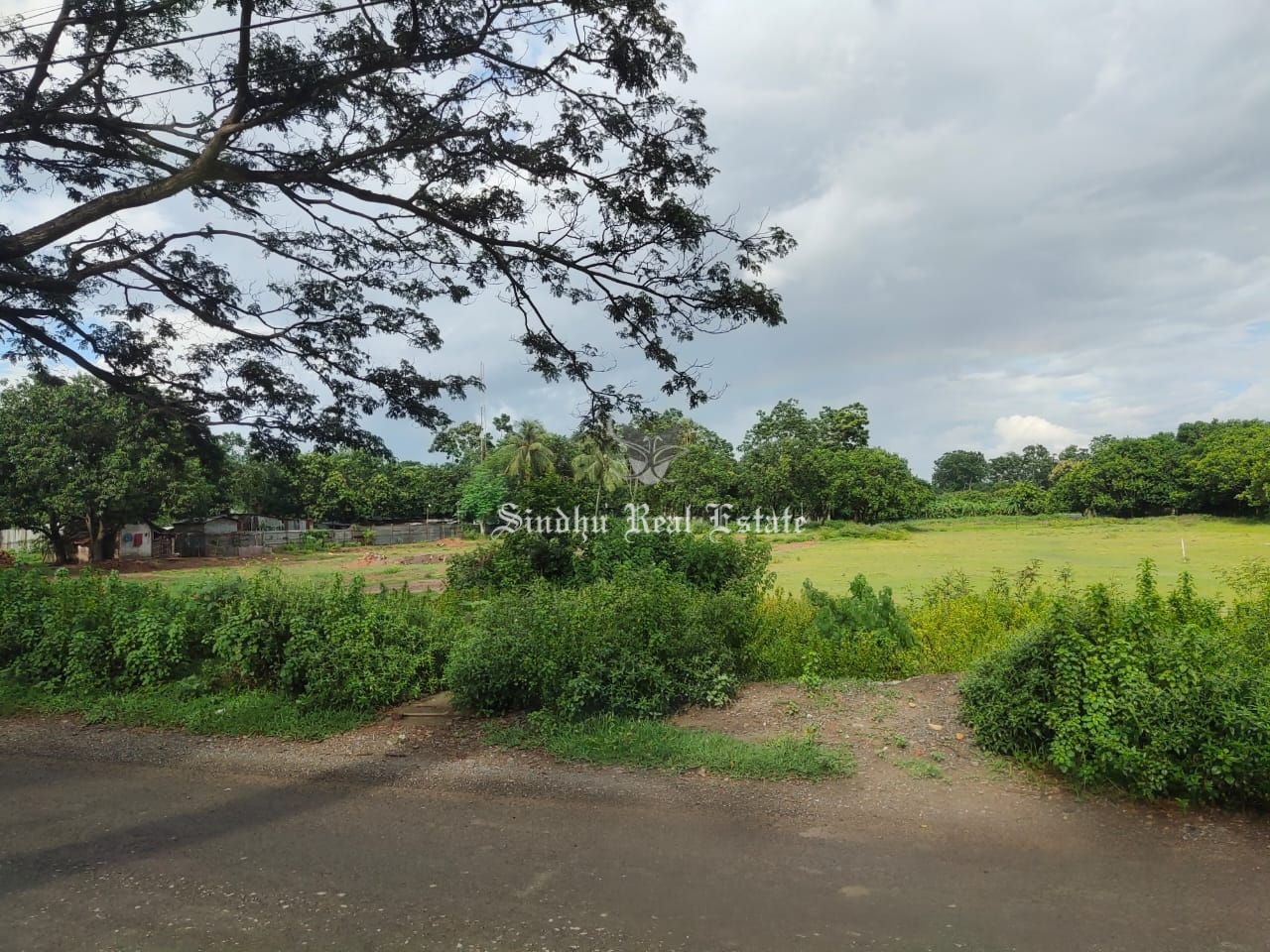 15 Bigha land available in Rajarhat for sale