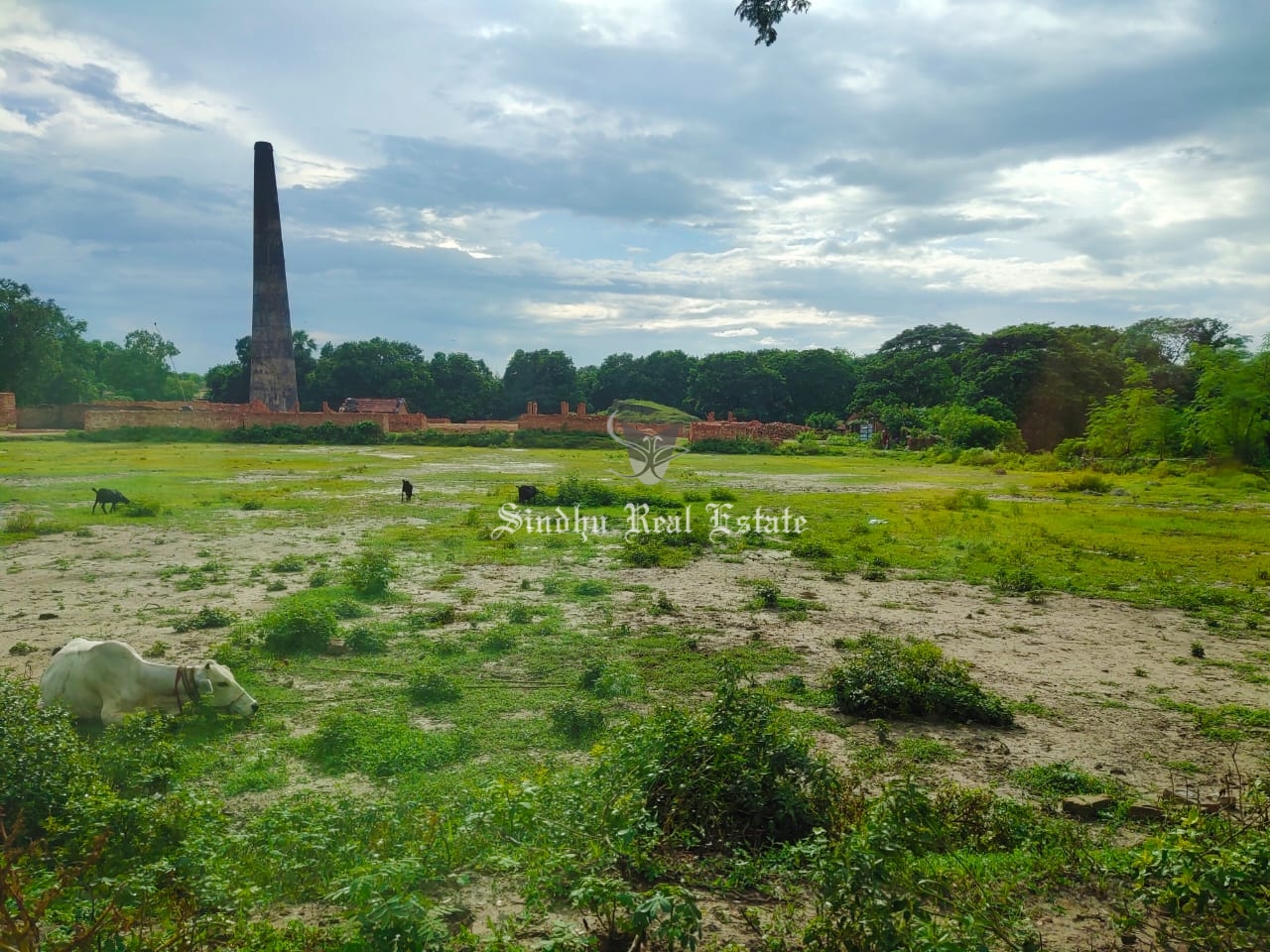 Land is available in the prime locality of rajarhat