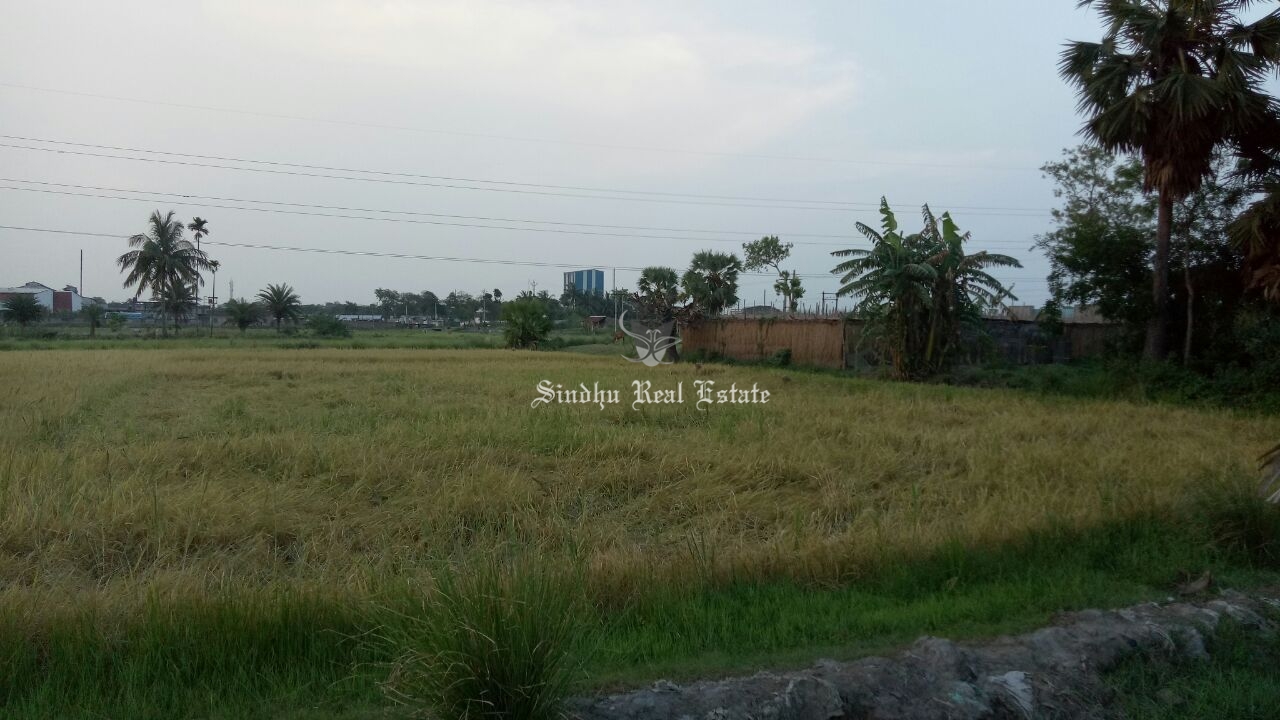 66 Katha land is available for sale in Jangalpur