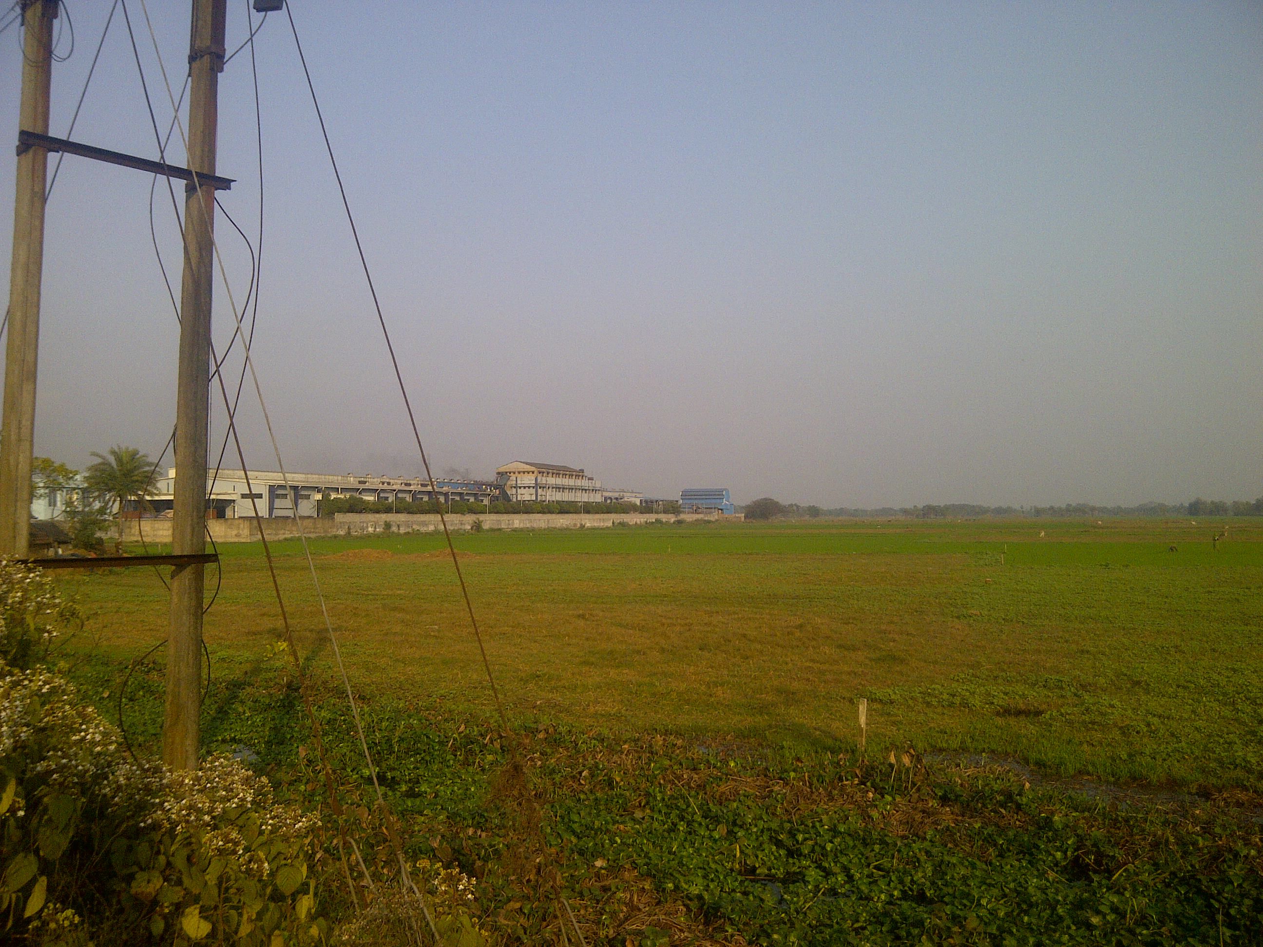 Commercial Land For Sale at Lakshmikantapur